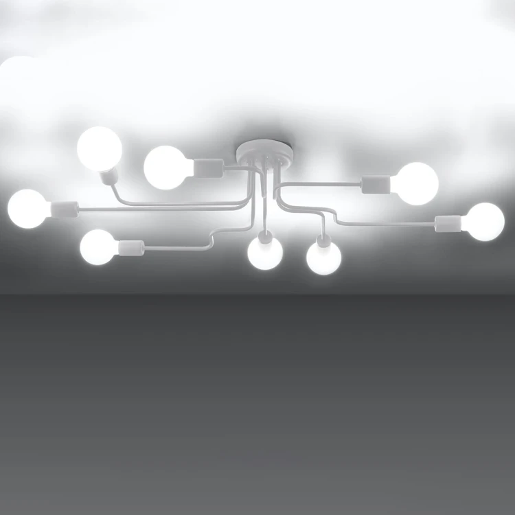 d50f4c5221eb9ba1e8427328e1a8d3b5
