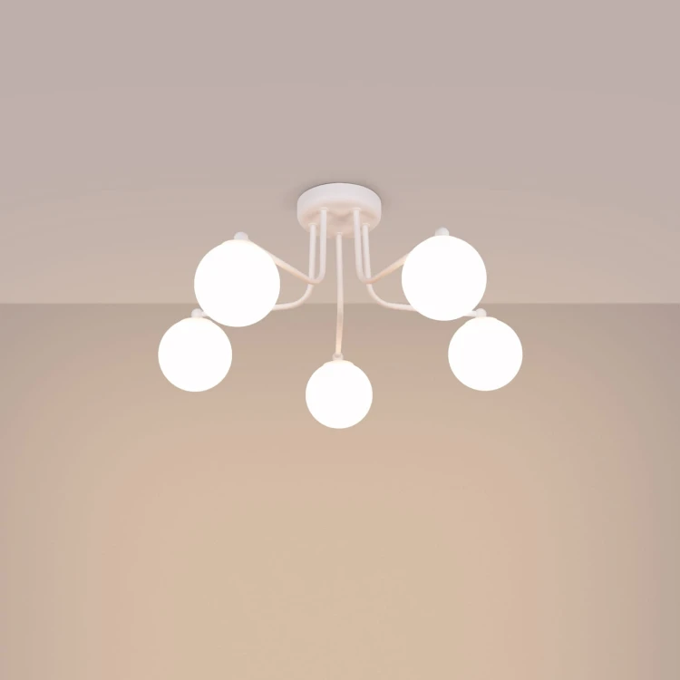 d13f1424746fd1d5e6f298c0049c4e87