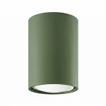 Plafon LAGOS 10 zielona oliwka SL.2071 SOLLUX