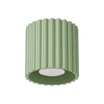 Ryflowany spot natynkowy z aluminium AURA kolor szałwiowy 1xGU10 SL.2408 SOLLUX
